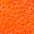 Trout eggs