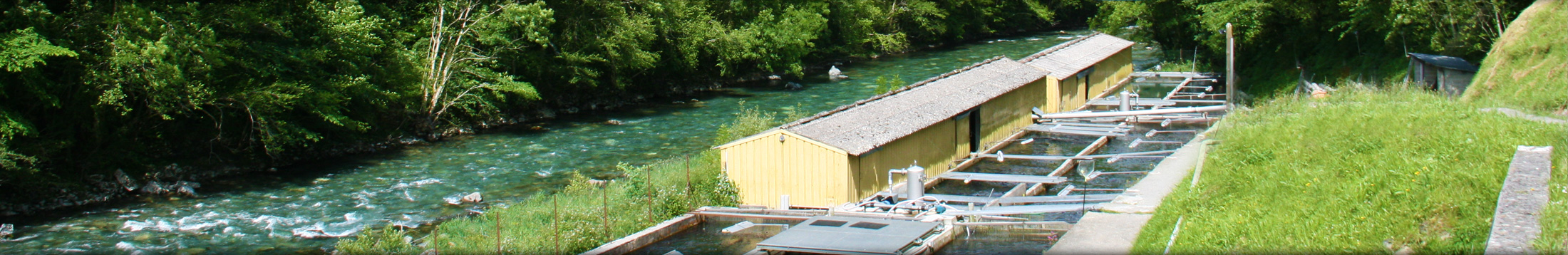 Pisciculture Sarrance